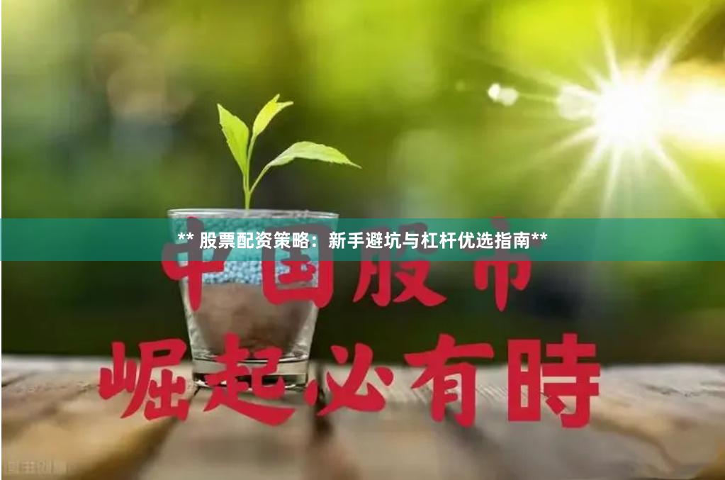 ** 股票配资策略：新手避坑与杠杆优选指南**